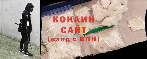 стаф Заводоуковск