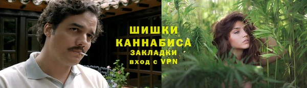 стаф Заводоуковск