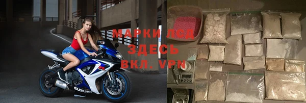 стаф Заводоуковск