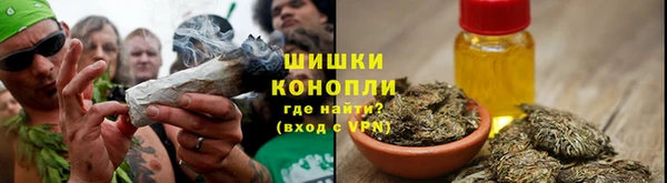 стаф Заводоуковск