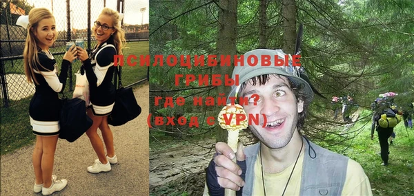 стаф Заводоуковск