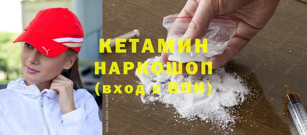 стаф Заводоуковск