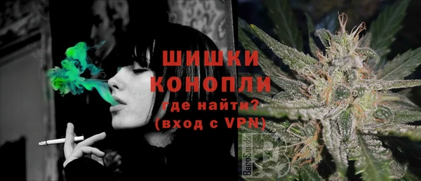 стаф Заводоуковск